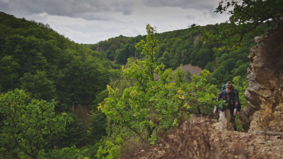 Landskab i bjerge med grøn bøgeskov og en enkelt spejder på vej op ad en sti.